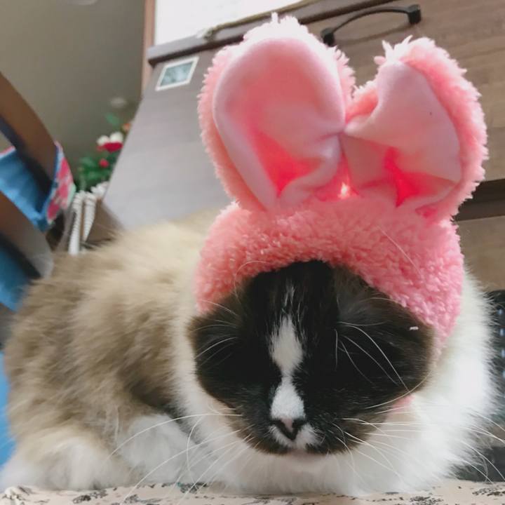 C70e1b56 1615 40c4 b604 32fa0ab9b38b 1517123352620