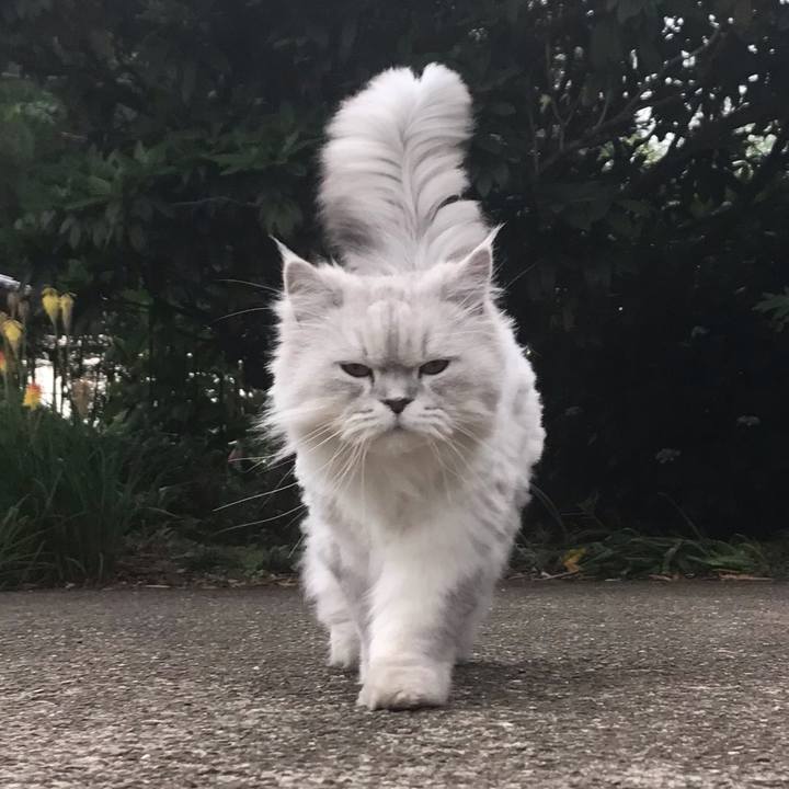 C70e4900 a063 4148 9aca 2e2e41ecd889 1623755016407