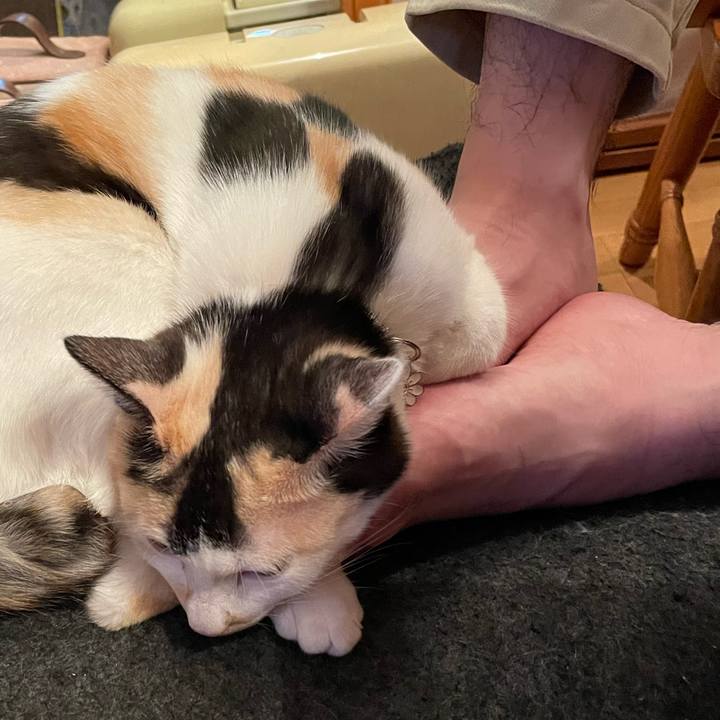 C70e6fa7 b01d 4c53 a25d dbcc612ca73e 1679364085191