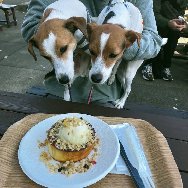 C70e74e3 9074 48ce a056 24e86a2dd66a 1763890431108