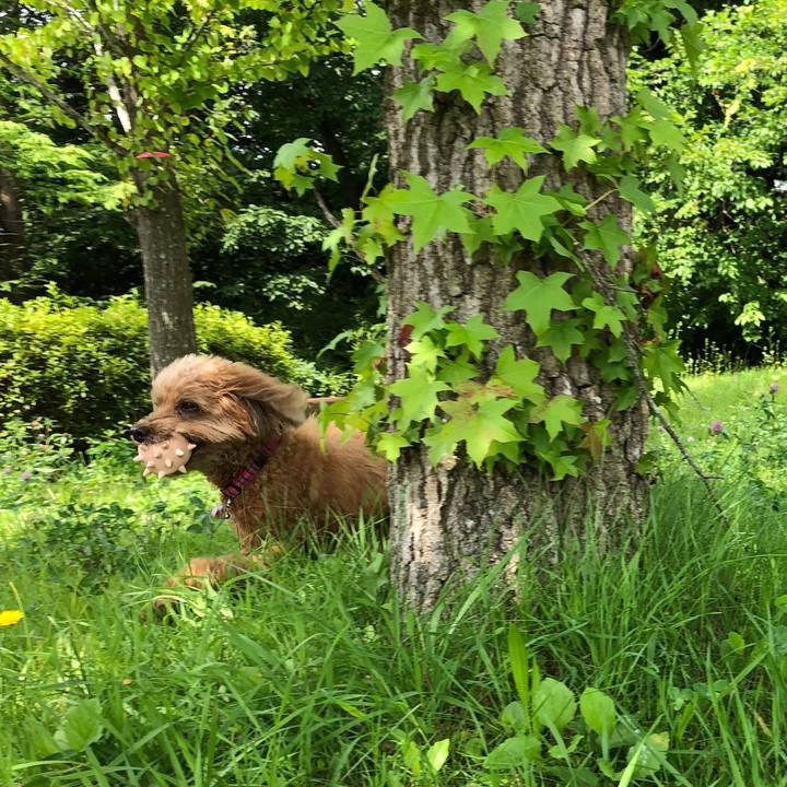 C70ea5a0 bf66 4295 9256 151f1923a61c 1563710510325