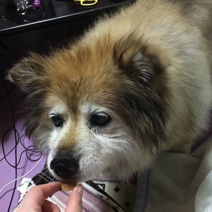 C70ec801 0d07 48a5 b072 7caf90e94bfa 1576526485372