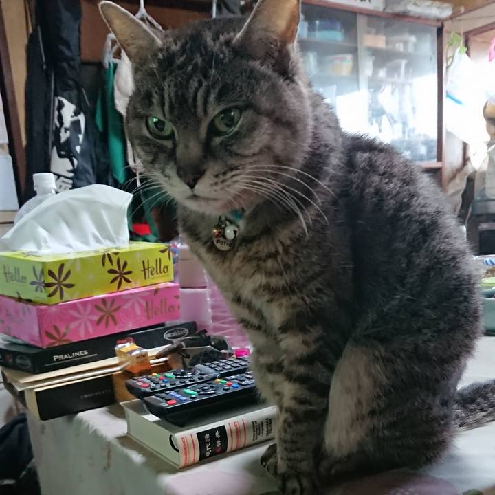 C70ef7e0 0d7a 48eb b8eb 5dec48d4a36a 1552774638140