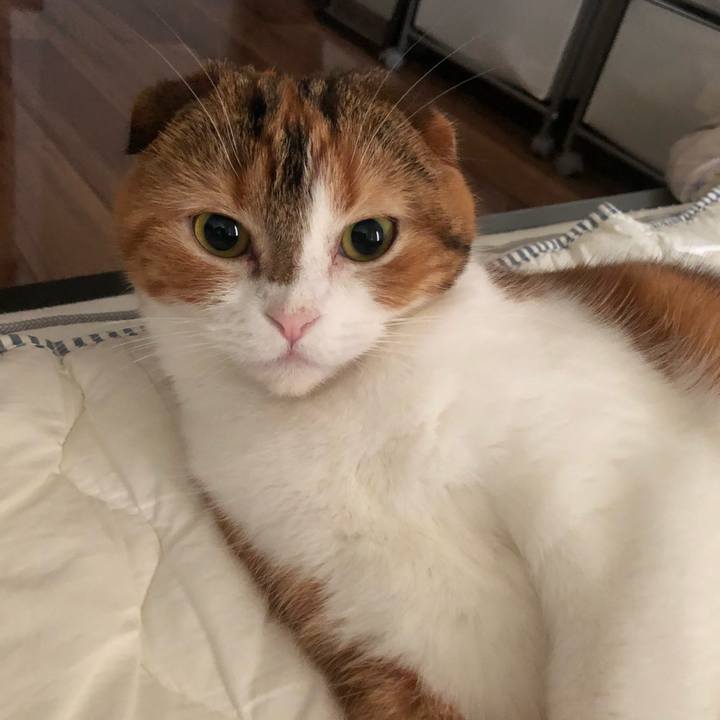 C70f0e76 c3a4 4d75 bf05 f066e4ffd3f3 1541195318570