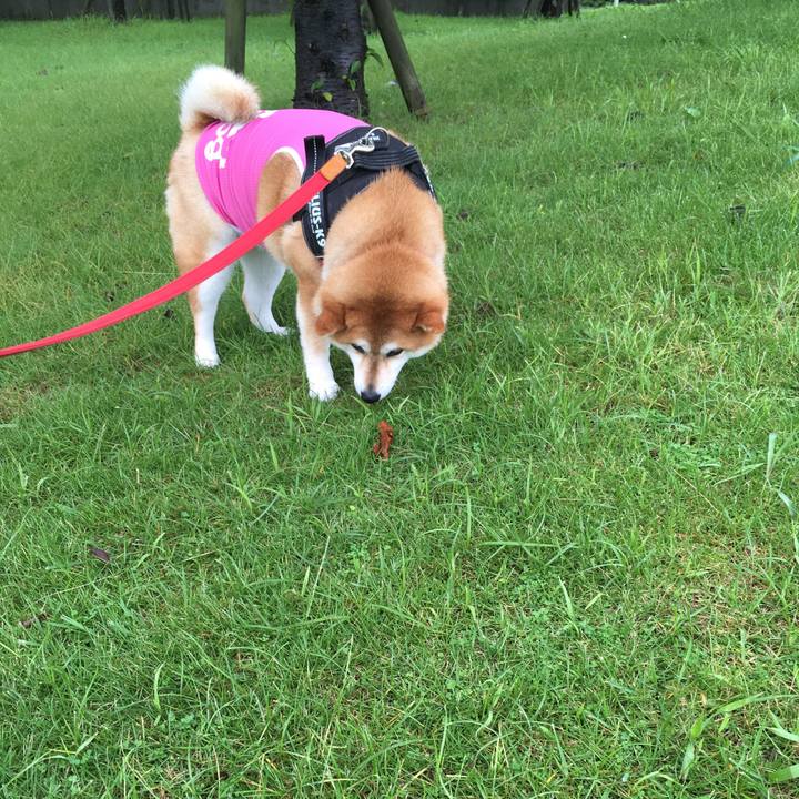 C70f4d55 5555 4ea7 81b6 7da92ced4fe4 1595047529595