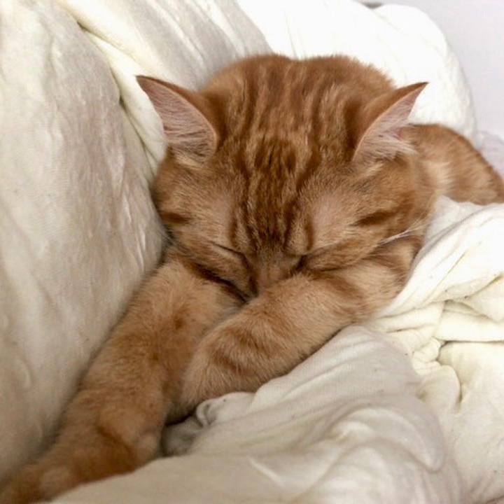 C70f68c6 e1f3 4641 8961 58315379dd51 1528591245364