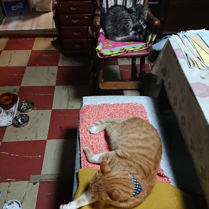 C70fa765 d002 48bd 9587 51dfb53dcea1 1570103972294