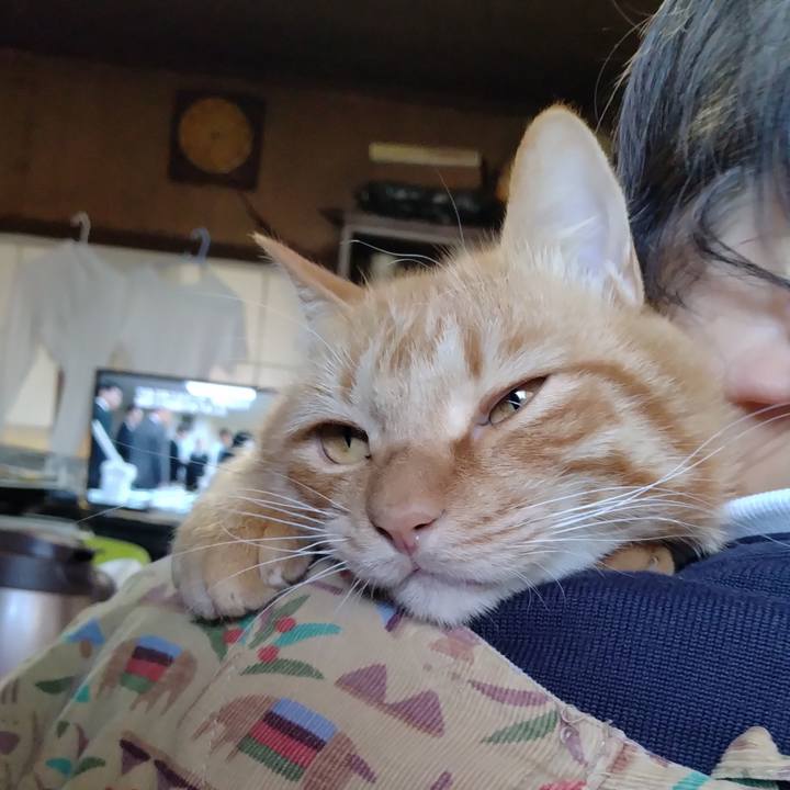 C70fbf9d b116 491a 9c11 e50f6a219fff 1668151789661