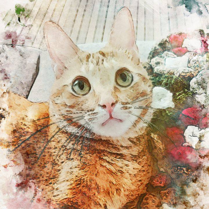 C70fd157 4547 4a06 bcdc 2bc6e09ee543 1509239343970