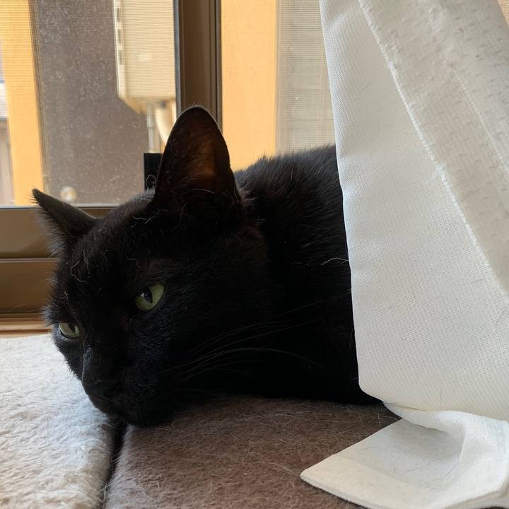 C70ff258 6754 417b 8b45 1e1fb78d22ba 1564793230698