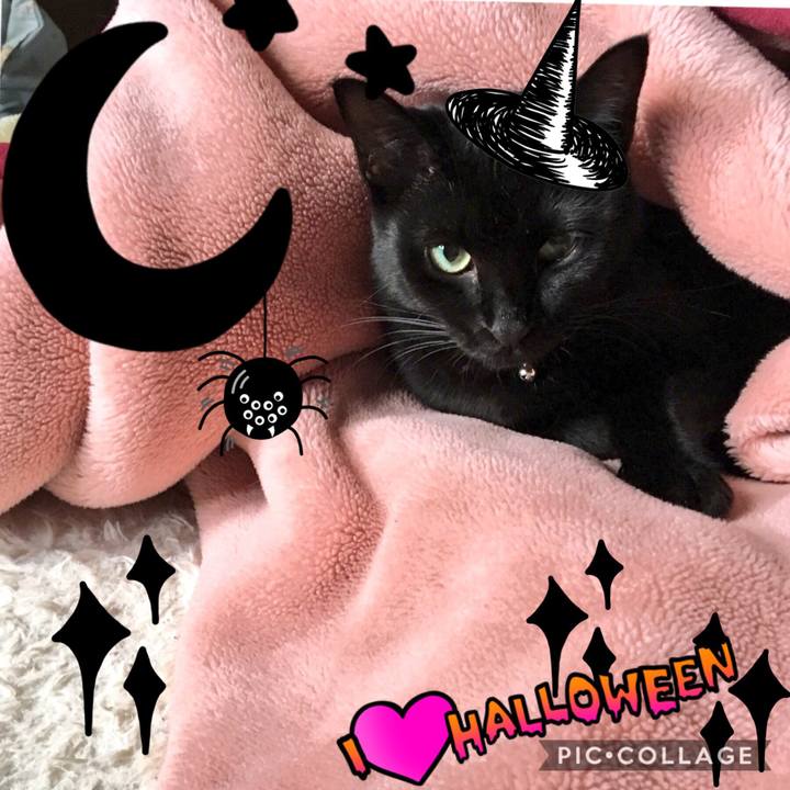 C710060a 3a9c 4295 9b7b 08b9c6fe01a5 1508904487201