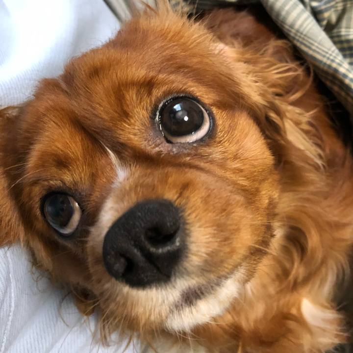 C7100a22 0de3 40f0 a4c1 ae744ad43839 1556144121887