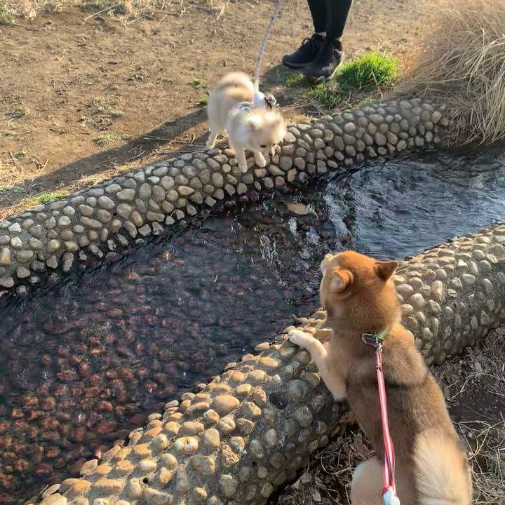 C7100aba 8712 4c79 89a8 affa1372705c 1771838082852