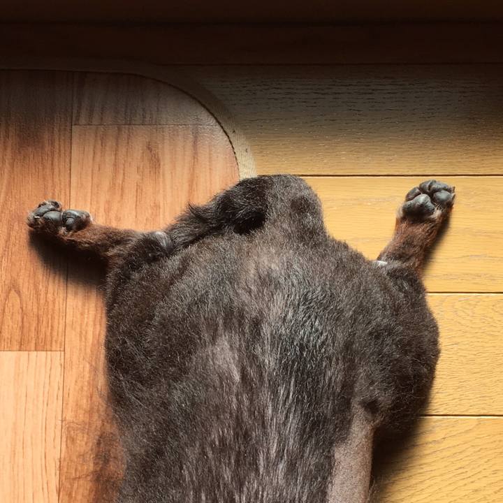 C7102bd7 2d6b 4b80 b67a 4c2ac7053571 1541630045859