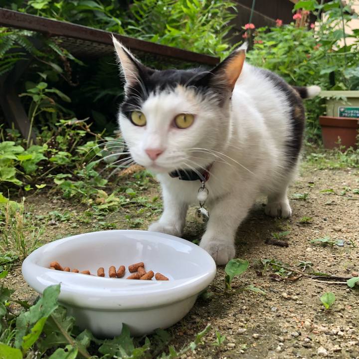 C710805f b53f 4851 bd04 9bbc40bac461 1623582361889