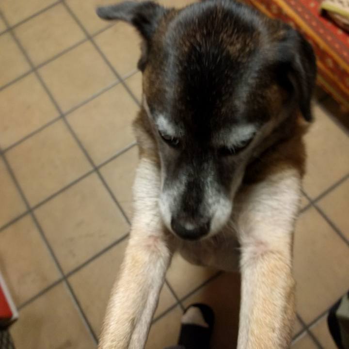 C7109eb3 f646 4e39 b175 e3db77c6a32d 1509614837471