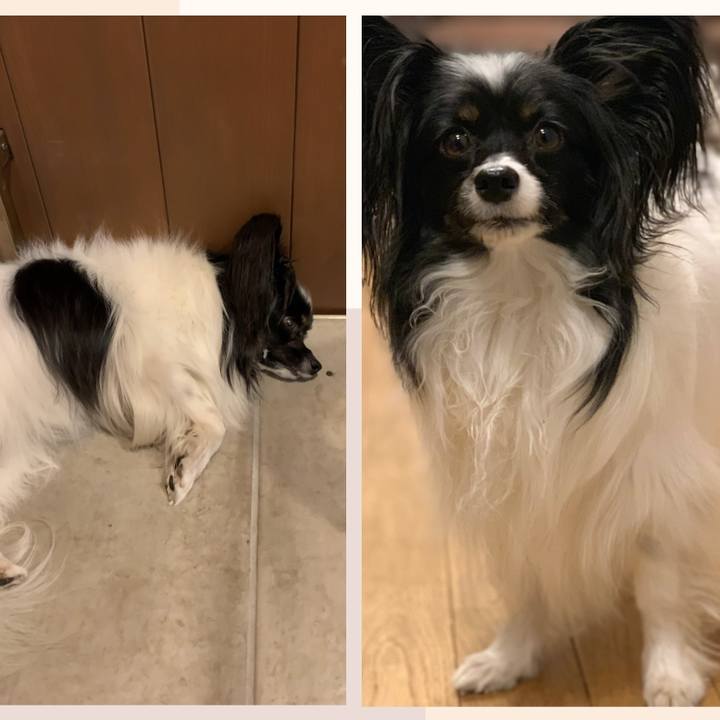 C710eb21 a598 41ae a102 c5f97f63d7e5 1549359893798