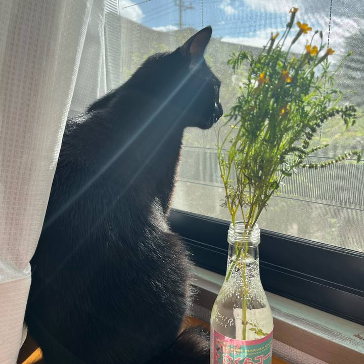 C7113b04 7ecc 4225 b0b3 376dbc52dc77 1693107144219