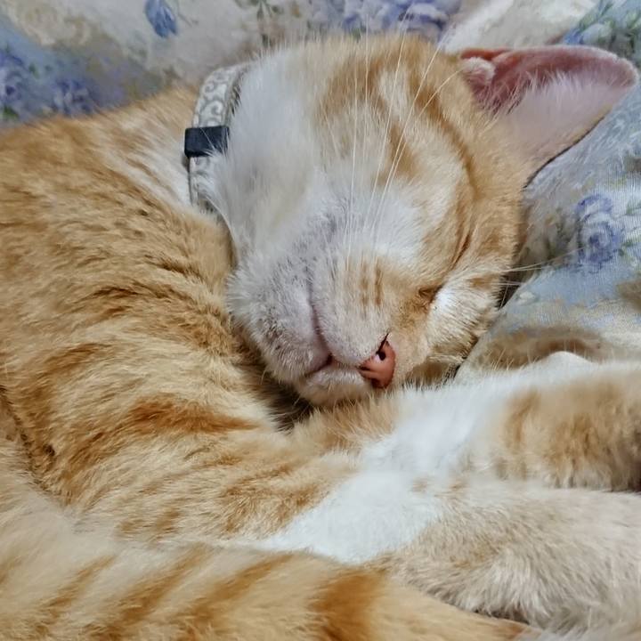 C71168e0 76cc 4fdb 9671 c899c0f03917 1590582096489