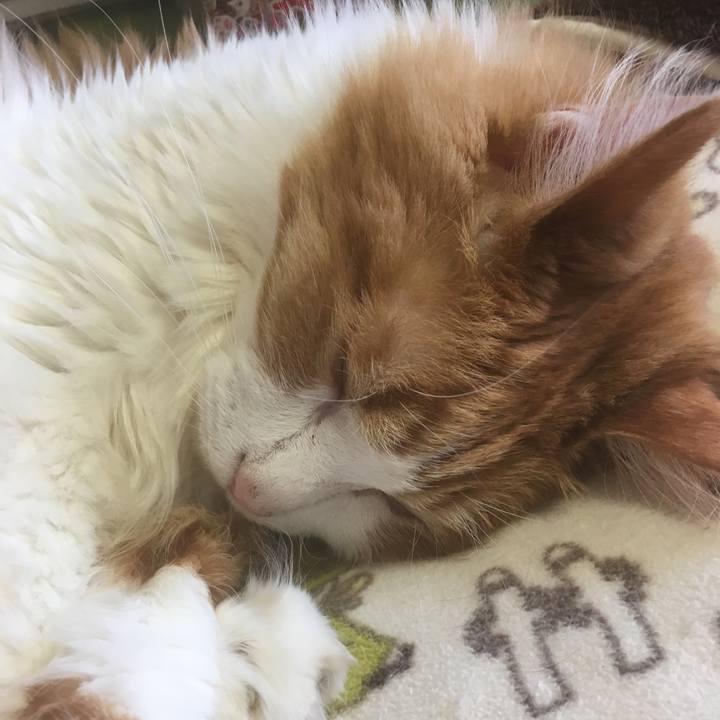 C711976e 4e53 49f4 92be 3803588bcbeb 1561351107947