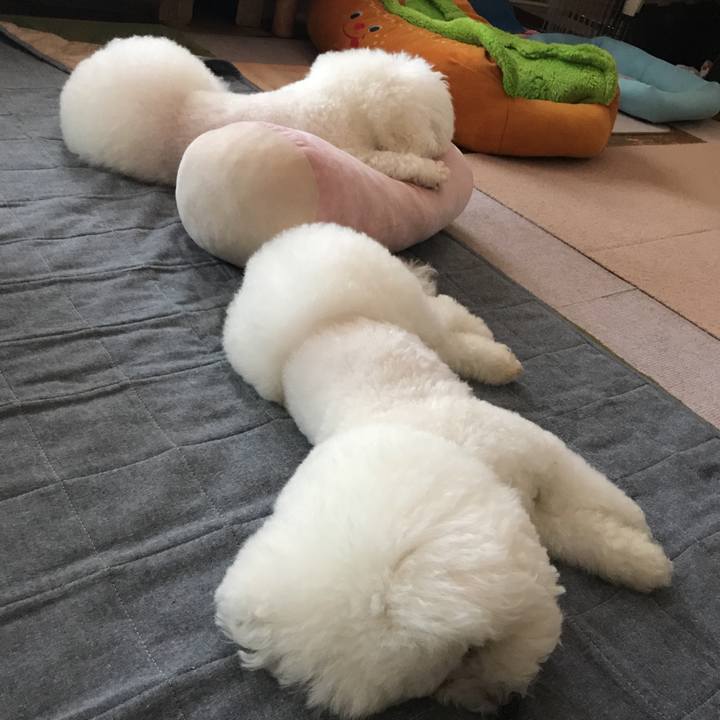 C711c8e9 1b03 41ba 8262 9601fce8466b 1563870092294