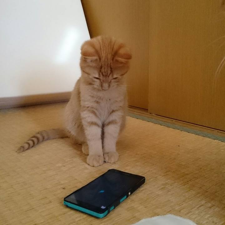 C711df3b 5e4b 496c ae3d 98ab1abfb380 1542420529269