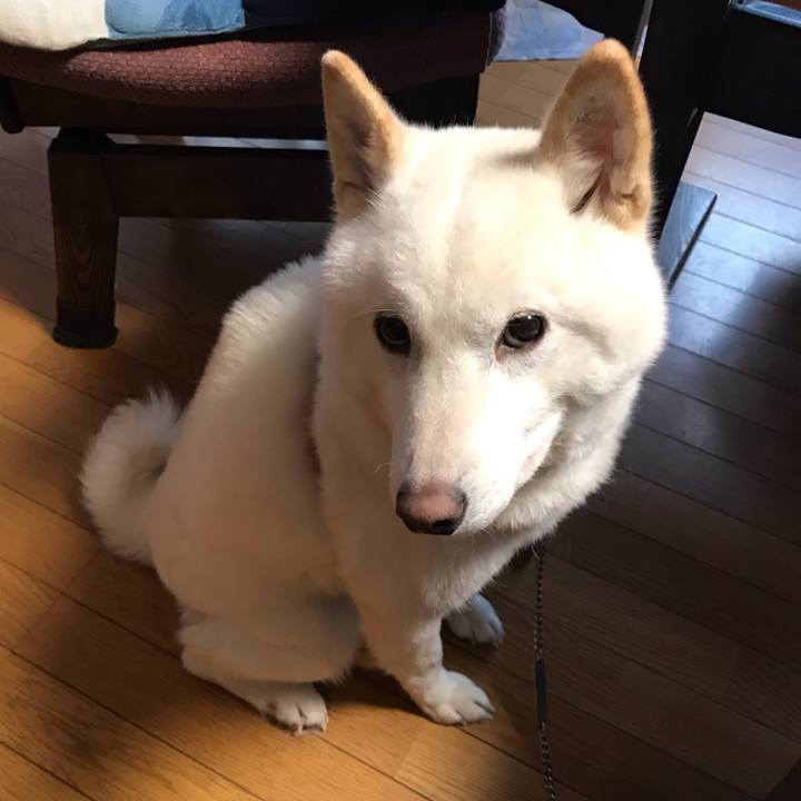 C711e8fd b62e 4c74 a785 ff551c6c3518 1546902266370