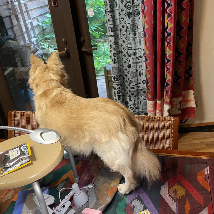 C7124c47 8679 4589 8085 4039f77d9346 1750868320548