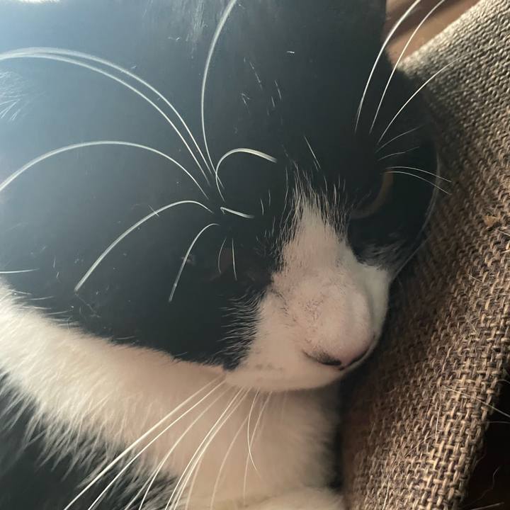 C7126101 c00e 49e0 9e92 ba33213d8d01 1730222310589