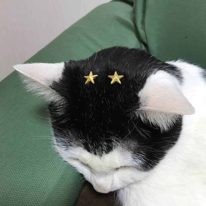 C712c8a0 d75b 4717 b165 b05cc6e6ad81 1552314112102