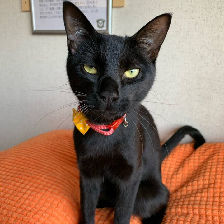 C712d158 d594 40bc be86 f7d6331f92e4 1587857659941