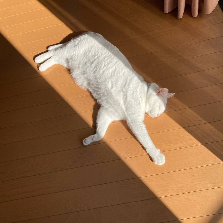 C712d8a7 0d97 4415 a3c4 d9259ced4730 1771654914702