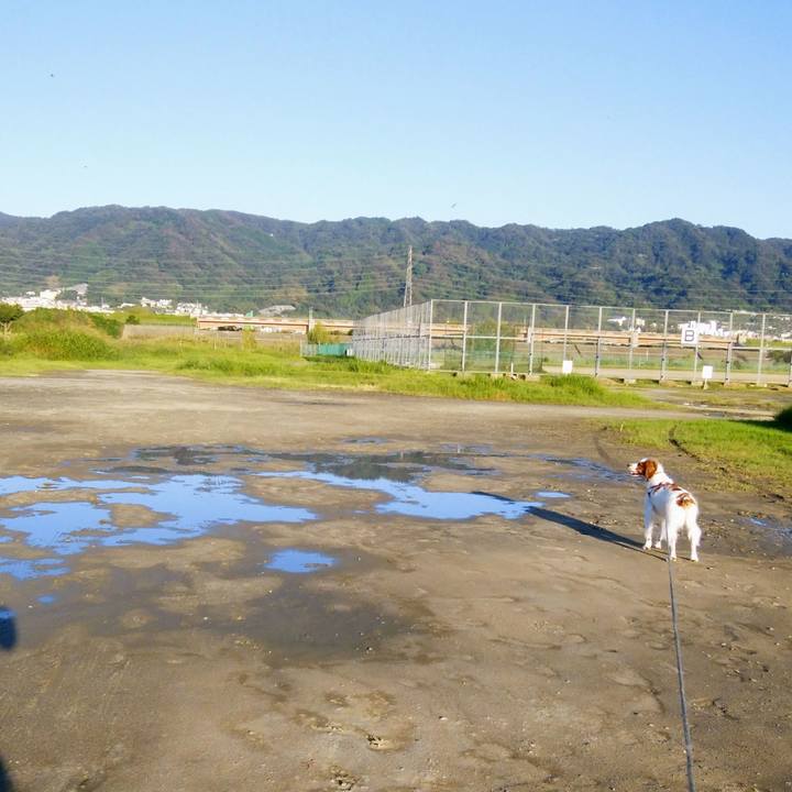 C712fc24 40b4 4b36 ae23 b20d0e1aa766 1538134708288