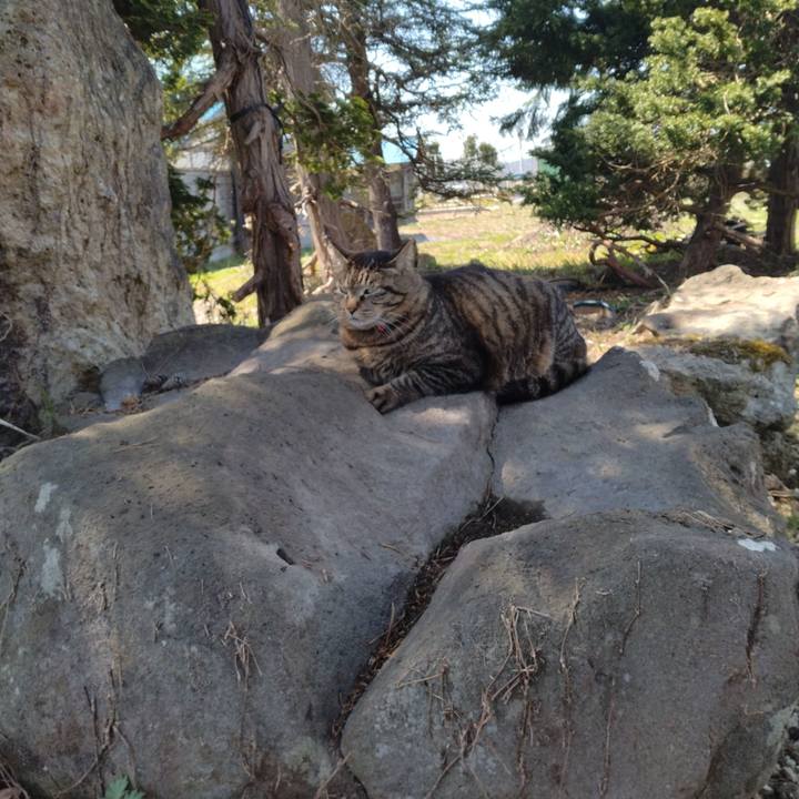 C713017e e79f 4944 8686 2c2718b9c4a3 1681102554547