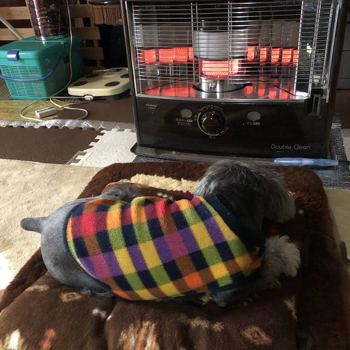 C7131632 6118 40f7 9297 b92edb7730c9 1556333107701