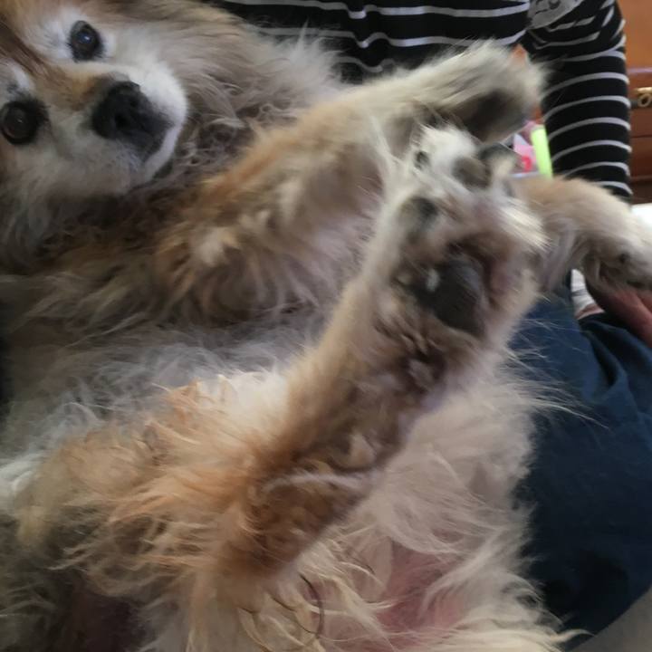 C7132f35 5ef5 4b55 adae 3e072d0cfae0 1573581504673