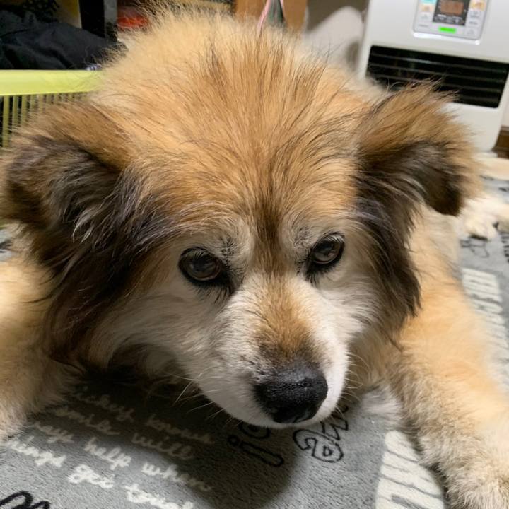 C713867e 2ad2 41df be60 826882e6f2aa 1575247550258