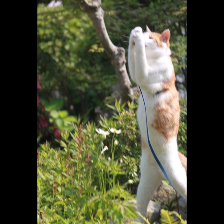 C7138940 9921 4dd0 bbae 6d83bbd01830 1528538881976