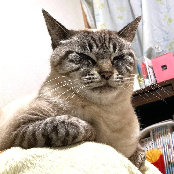 C7138b7d 47f6 44c0 bd00 3a2c231d196a 1772379669111