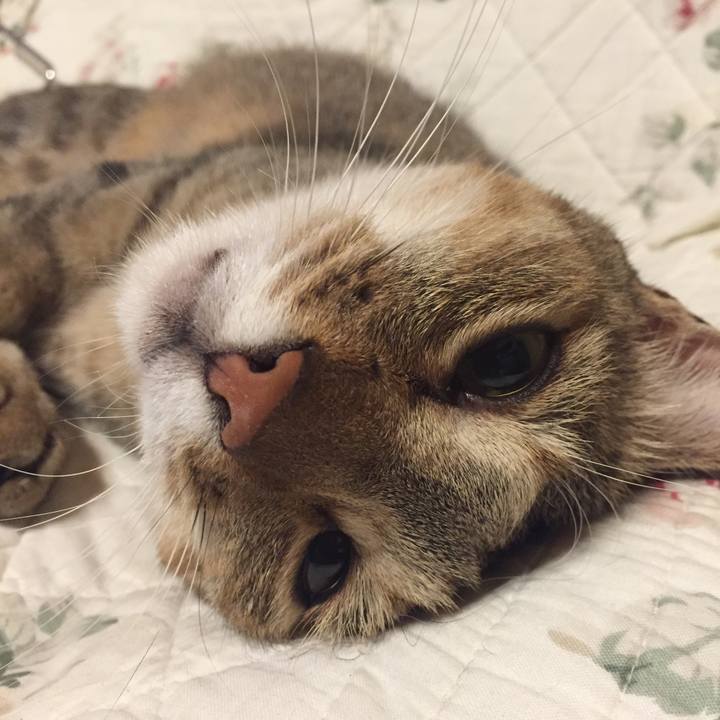 C713a16d 95e3 4bd7 9061 7beb0476f4bd 1566219794053