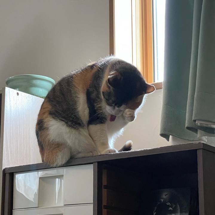 C713a2fd ff1a 45ba b859 9523a9daafb9 1712370706536