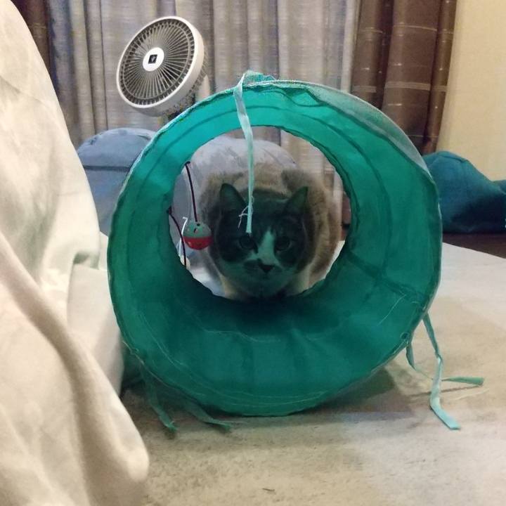 C713bd15 07e7 4e2f b6e0 0413370dbd2a 1638745336808