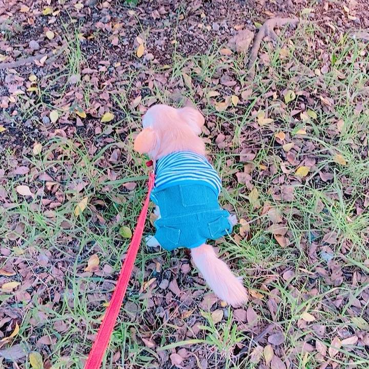 C713c8be 86b3 44fd 99b3 59bf0bda5e03 1634302616320