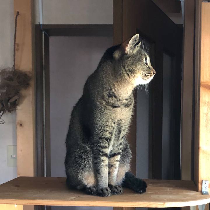 C713cda1 26f1 4025 8047 932e98a42ed0 1596762990602