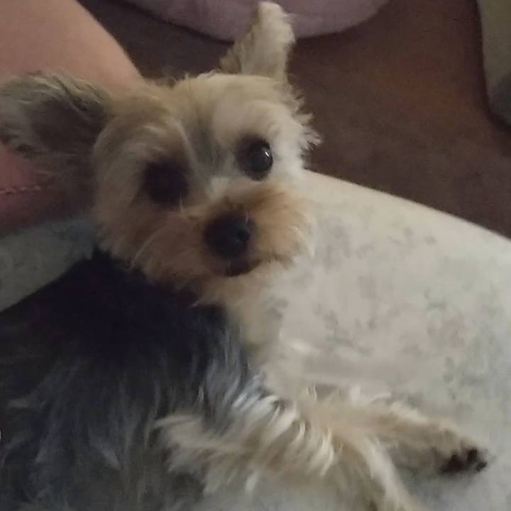 C713e374 bdca 4625 927d 524f6b139ff2 1559177788629