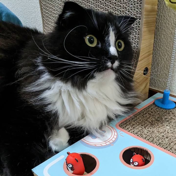 C713e69d a360 47fe a534 6403b5c05936 1682593097063