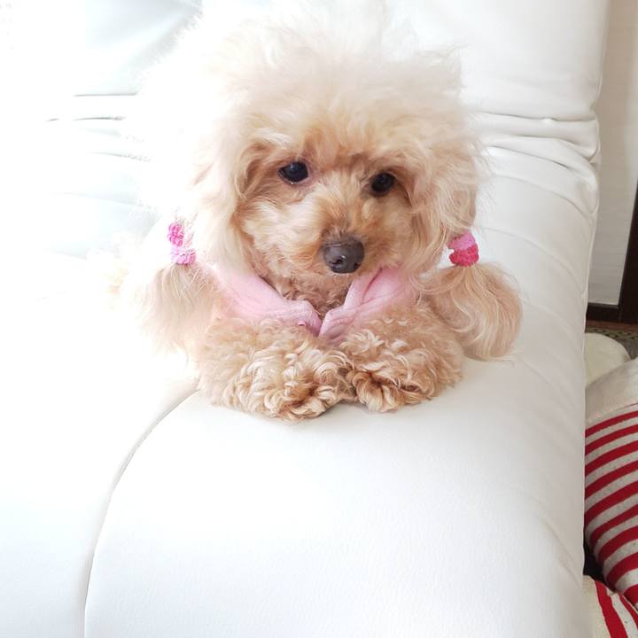 C7142d17 0813 481d bee9 1aea3f0845c1 1573817485547