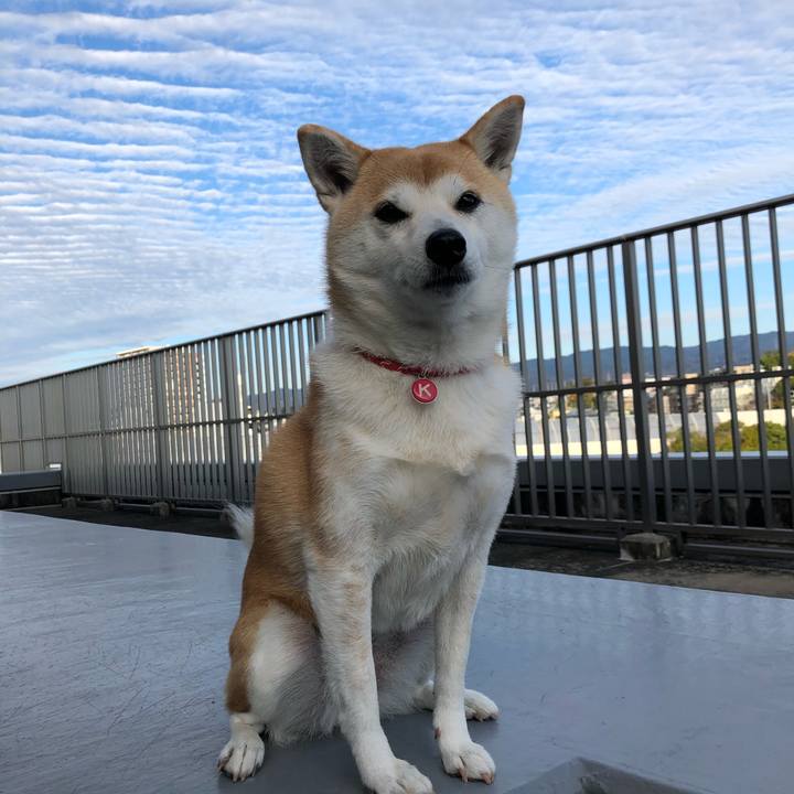 C7144478 1eab 41ca b5de 4f41041a718d 1606607730597