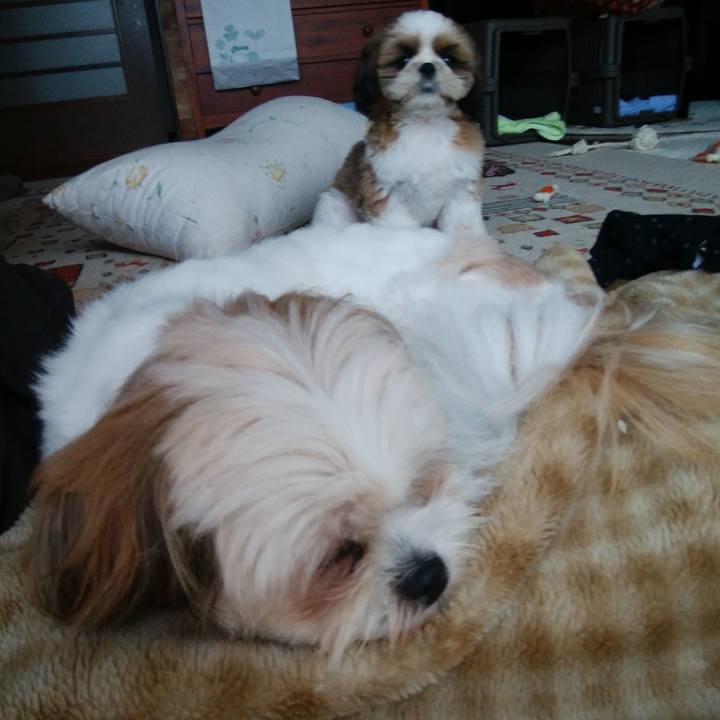 C71450e5 dbec 4dd7 ac81 fa9b30d7d362 1537486448269