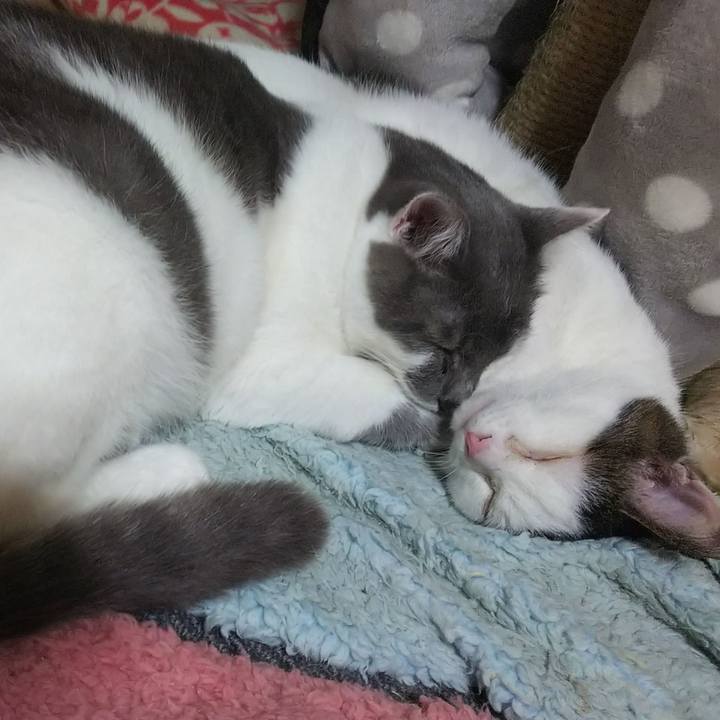 C71480bf 8384 4eef aa2c 25353fb42c26 1543687772323